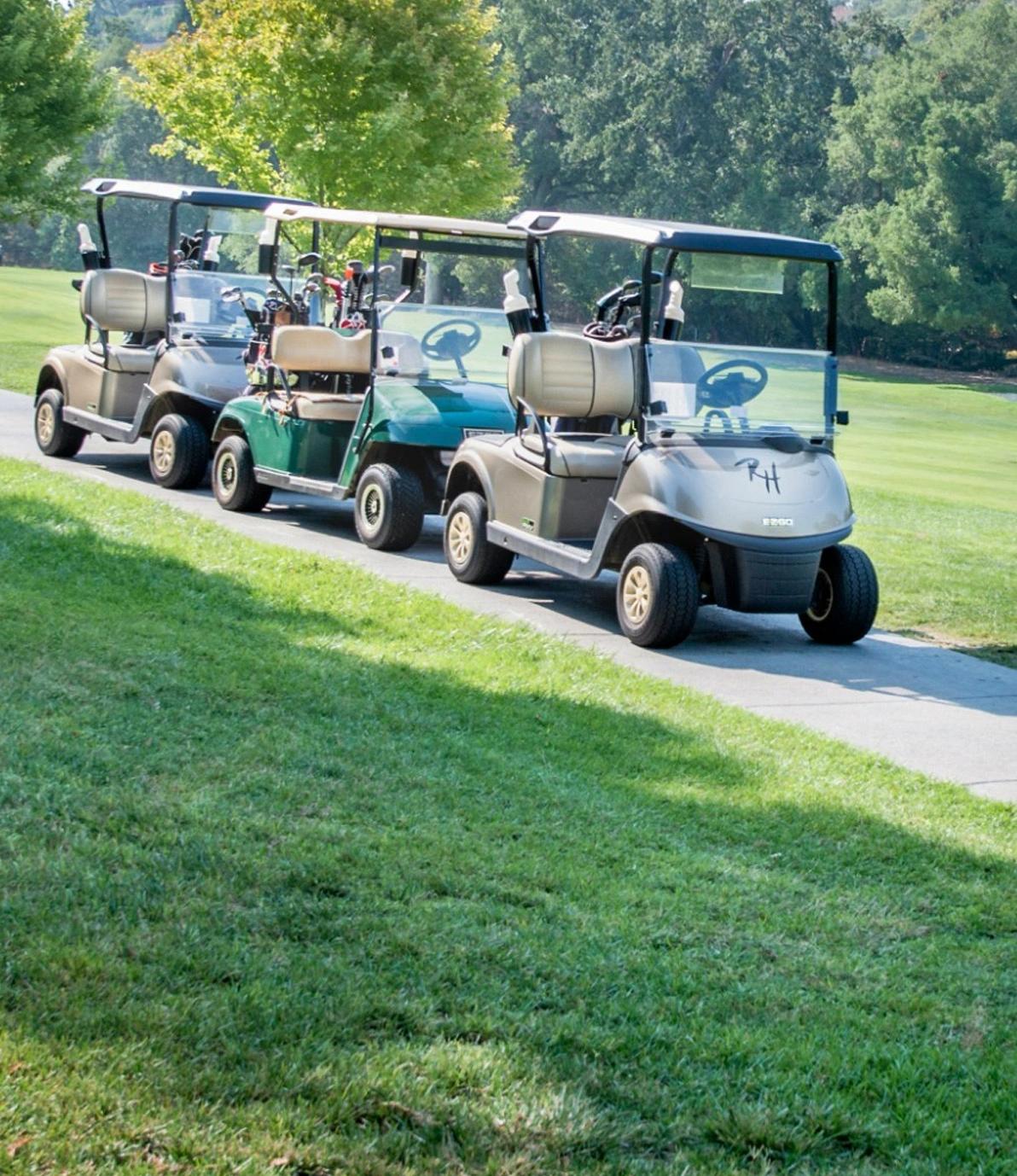 Golfette électrique reconditionnée